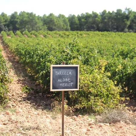 Rural Entrevinas